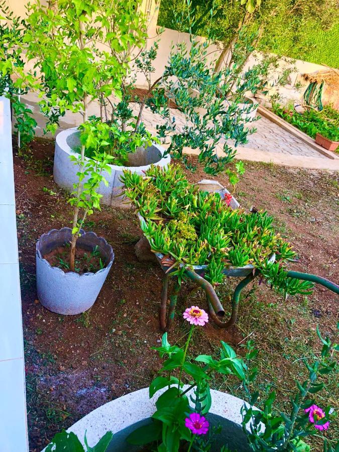 House Gita Villa Mrljane Ngoại thất bức ảnh